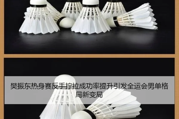 樊振东热身赛反手拧拉成功率提升引发全运会男单格局新变局 - MangoSport